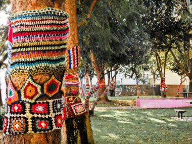 Çok renkli örgü giysiler giymiş ağaçlar
