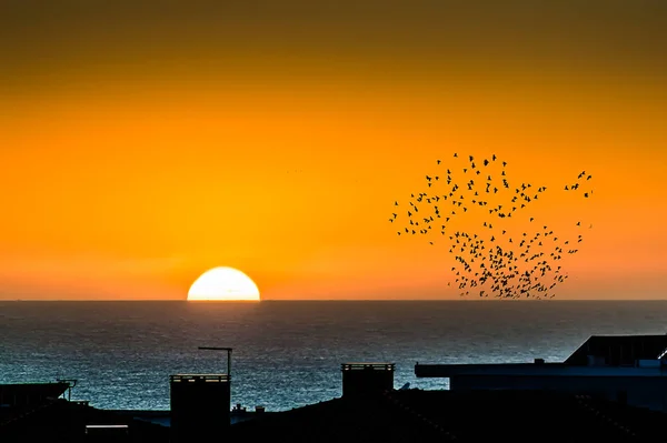 Gelbe Lichter Vom Sonnenuntergang Bis Zum Ozean — Stockfoto