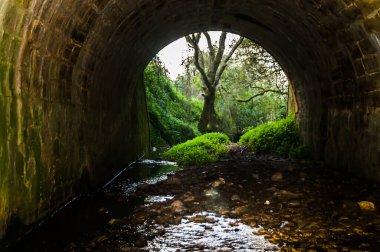 Köprünün altındaki bir duvardan görüntüle