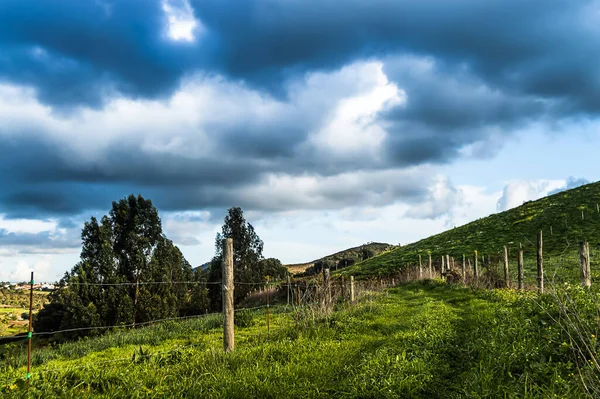 丘の上の田舎道に木製の棒を持つ風景 — ストック写真