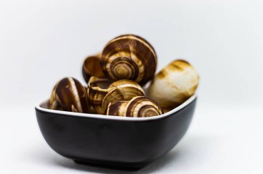 Siyah bir kasede salyangoz kabuğu