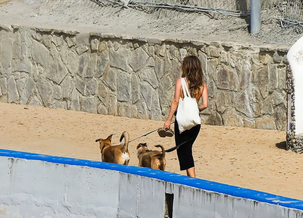 Mujer Con Falda Negra Pasea Los Perros Por Acantilado —  Fotos de Stock