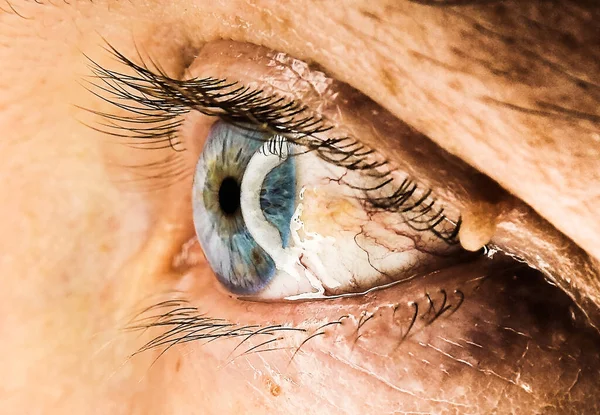 Macro photography of a blue male eye