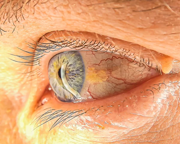 Macro photography of a blue male eye