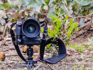 Kameralar tarlada fotoğrafçıyı bekliyor.