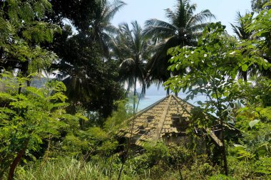 Tayland 'da okyanus manzaralı bir ormanın içinde yıkılmış bir sahil evi.