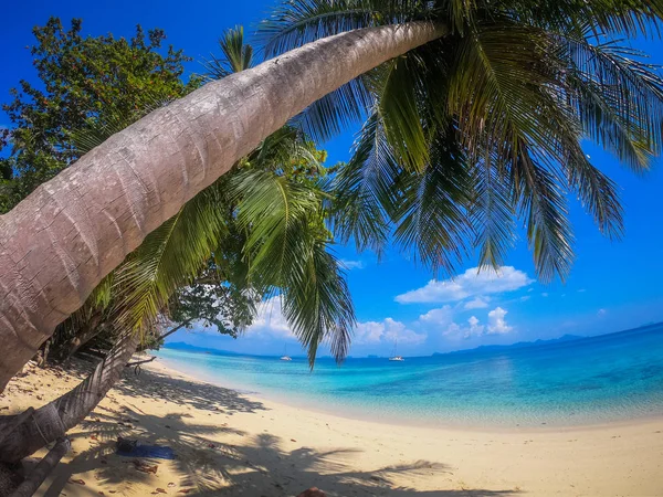 Tropikalna plaża z palmami w Ko Kradan w Tajlandii — Zdjęcie stockowe