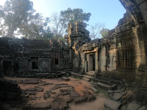 Wide angle picture of temple ruins of angkor wat, cambodia with tree ontop — 图库照片