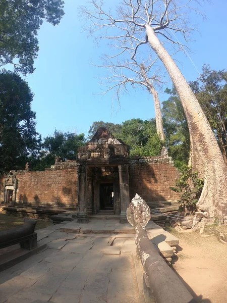 Entrance to angkor wat , snakes statues, hindu culture, old trees, beautiful temple, cambodia — Stock fotografie