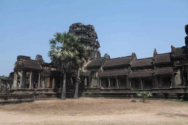 Palmeiras tropicais em frente a antigas ruínas do templo de Wat Angkor, dia quente e seco em cambodia, céu azul — Fotografia de Stock