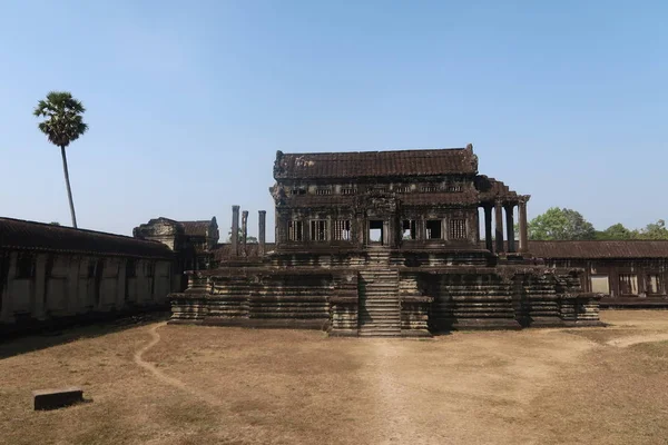 Dry brown grass and sand leading to beautiful ancient temple in angkor wat, tropical palm tree, pillars — Stock fotografie