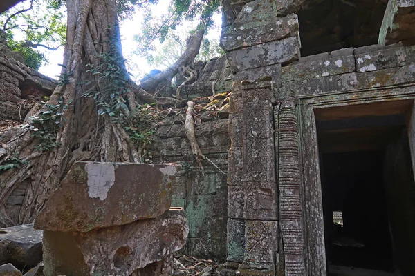 Neblig, gespenstisch, alte Baumwurzeln wachsen aus alten Steinruinen angkor wat, dunkle Passage — Stockfoto