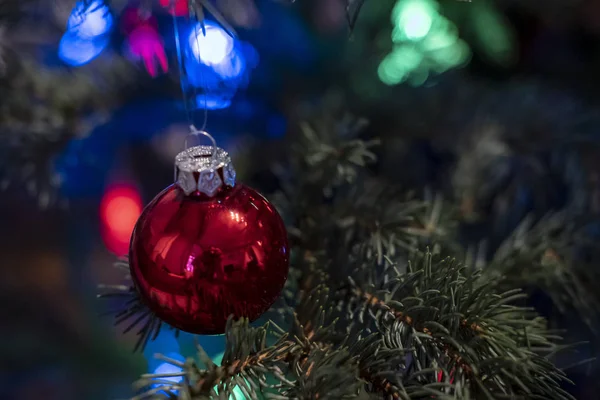 Red glass toy ball on a Christmas tree, on a blurred background of garland. — Stock Photo, Image
