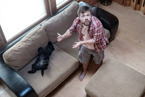 Hombre descontento señala las manos al Schnauzer, que se quedó dormido en el sofá y tomó el lugar del propietario . — Foto de Stock