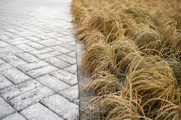 Cobbled pavement, curb and lawn with dry grass, covered with hoarfrost in the winter.