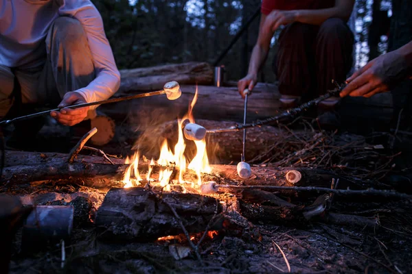 Amici che friggono dolci marshmallow su un falò, in una sera d'estate, nella foresta . — Foto Stock