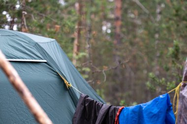 Camp in the forest. Part of the tent and waterproof covers for backpacks hanging on a rope, against a background of trees.