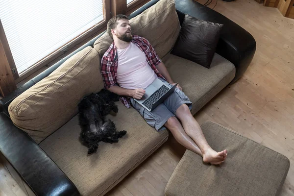 Бородатый мужчина с ноутбуком заснул на мягком диване, рядом с ним смешно, живот вверх, лежит его собака Шнауцер, в естественном свете . — стоковое фото