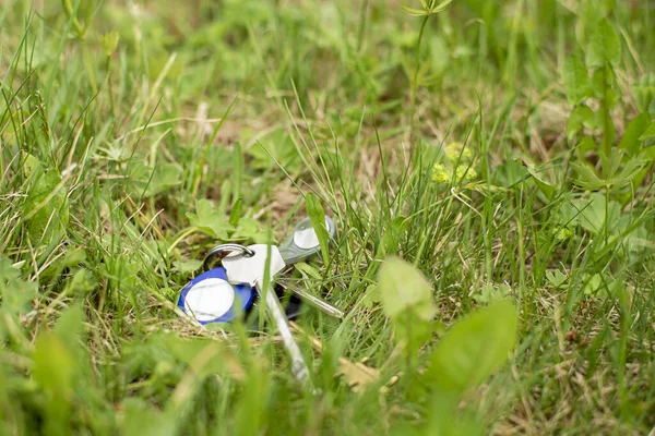 Bunch of keys and a keychain, lost, lie in the grass. Bottom view. — Stok fotoğraf