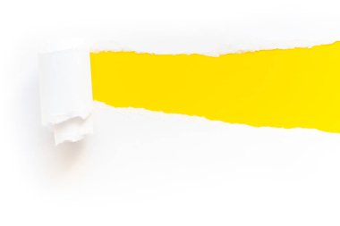 Yırtık beyaz kağıt bir rulo içine kıvrılmış, sarı bir zemin üzerinde, bir yazı için yer var. Uzayı kopyala Üst görünüm.