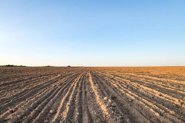 Paysage rural. Terres agricoles, récemment labourées et préparées pour semer un champ, contre le ciel bleu, au coucher du soleil . — Photo