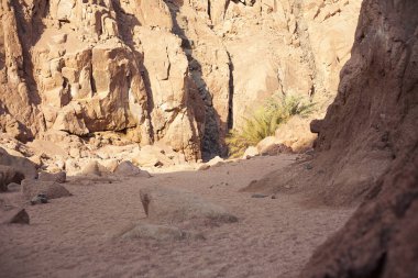 Mısır'daki Gorge renkli Kanyon'da uçurumun kenarına yakın.