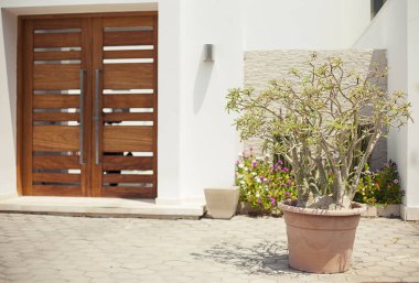 Otelin yakınında yeşil çalı