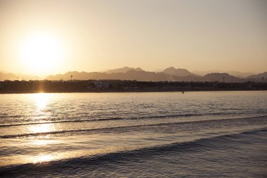 Kızıl Deniz Sahili