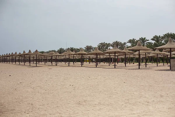 Beach with umbrellas Red sea — Stock Photo, Image