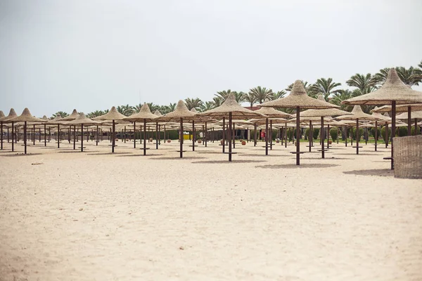 Beach with umbrellas Red sea — Stock Photo, Image