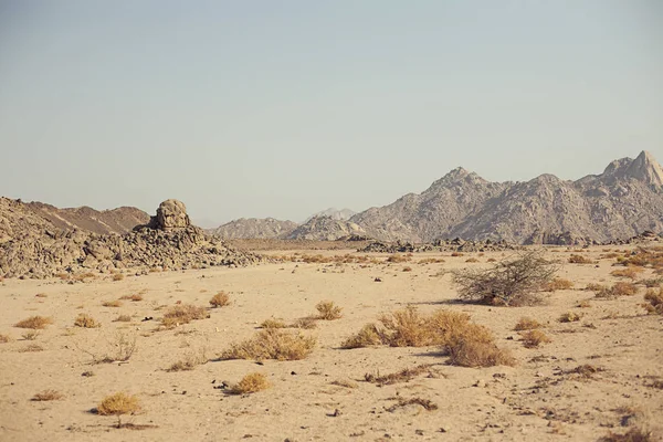 Mountain in desert — Stock Photo, Image