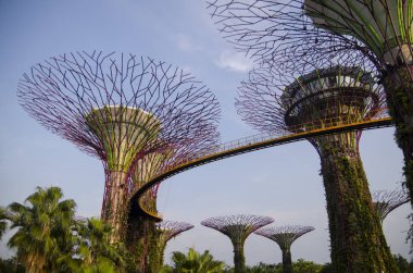 Cityscape gökdelen mimarisi günbatımı