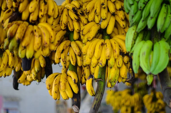 Zielone i żółte banany na rynku azjatyckim — Zdjęcie stockowe