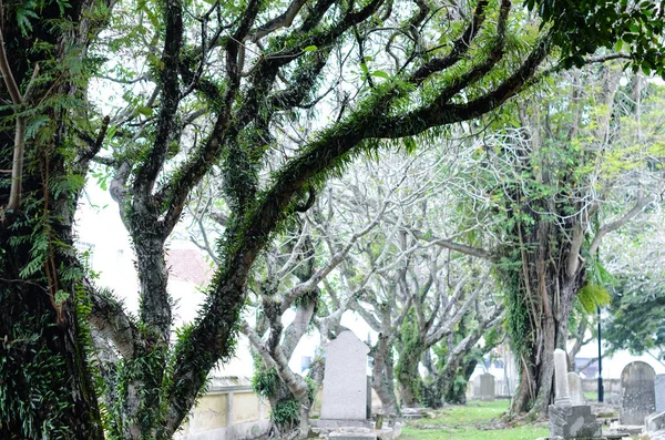 Cementerio Verde en Malasia —  Fotos de Stock