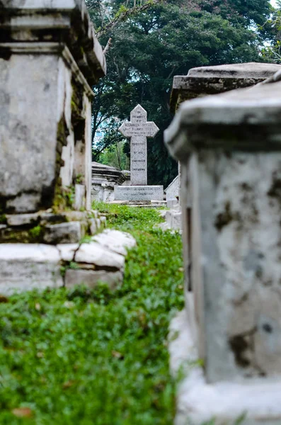 Lápidas grises. Cementerio en Malasia —  Fotos de Stock
