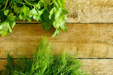 Taze maydanoz ve dereotu