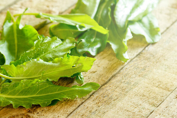 Green sorrel leaves