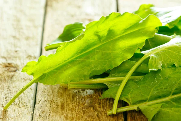 Grüne Sauerampferblätter — Stockfoto