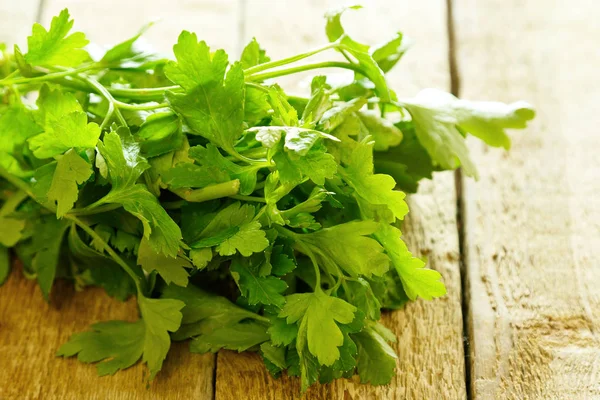 Green leaves of parsley — Stock Photo, Image