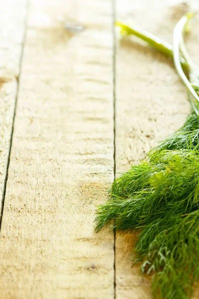 Twig of fresh dill — Stock Photo, Image