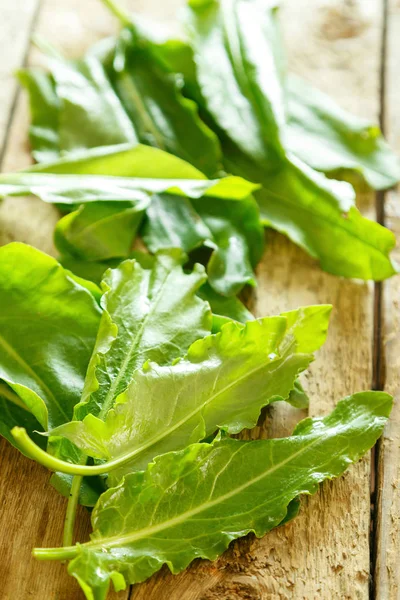 Grüne Sauerampferblätter — Stockfoto