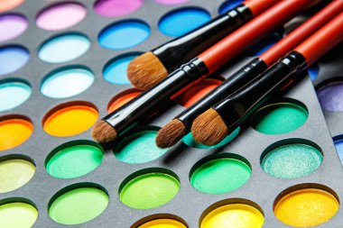 Profesyonel makyaj fırçaları ve göz farı palet