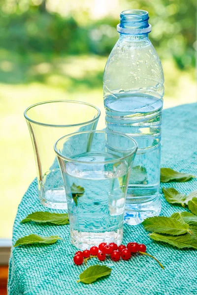 Bottle and glass with water and currants — Stock Photo, Image