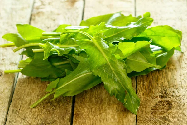 Grüne Sauerampferblätter — Stockfoto