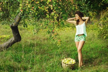 genç kadın toplama elma
