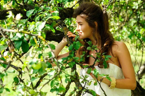 Mladá žena a apple tree — Stock fotografie