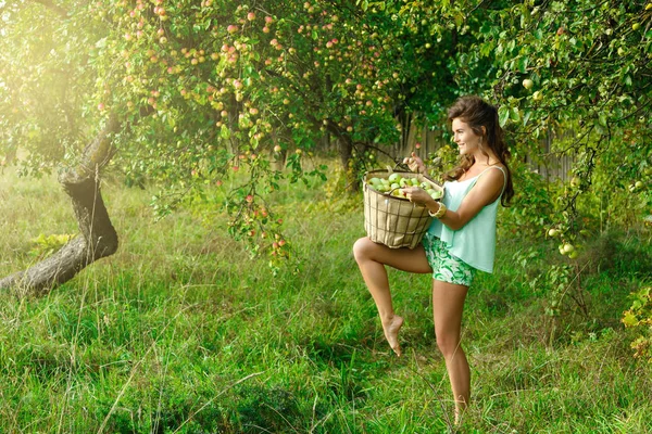 Jovem mulher pegando maçãs — Fotografia de Stock