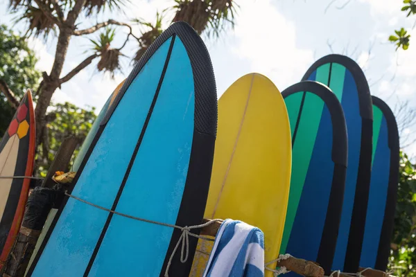 Stapel Verschillende Surfplanken Huur Het Tropische Strand — Stockfoto