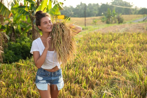 Ecotourism Daily Work Happy Woman Farmer Harvesting Rice Field — Stock Photo, Image