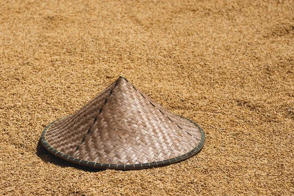 Tradición Sombrero Cónico Asiático Arroz Secante — Foto de Stock